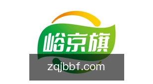 足球捷报比分